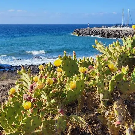 Albatros Tenerife Golf Sea View * San Miguel de Abona